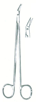 HSC-02-517