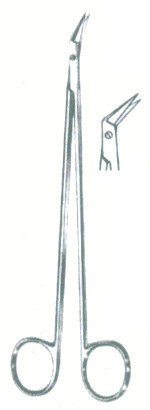 HSC-02-519