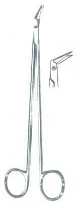 HSC-02-521