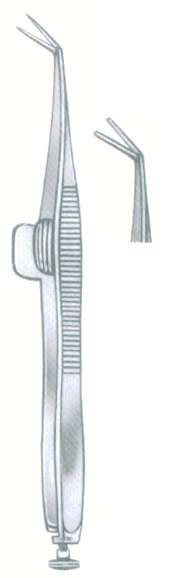 HSC-02-922