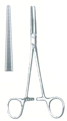 HSC-03-081