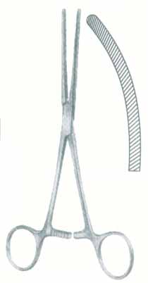 HSC-03-1019