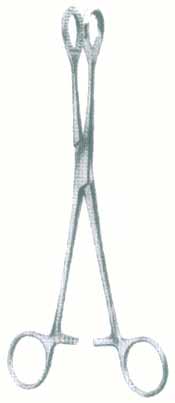 HSC-03-1113