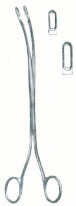HSC-03-1137