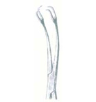 HSC-03-1173