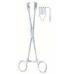 HSC-03-1231