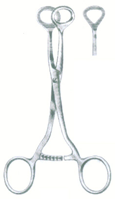 HSC-03-231