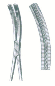 HSC-03-255