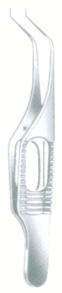 HSC-04-557