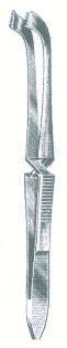 HSC-07-241