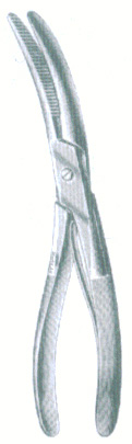 HSC-08-019