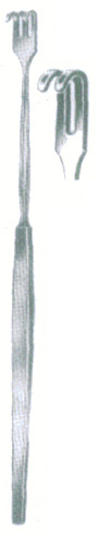 HSC-09-019