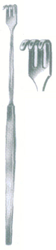 HSC-09-021