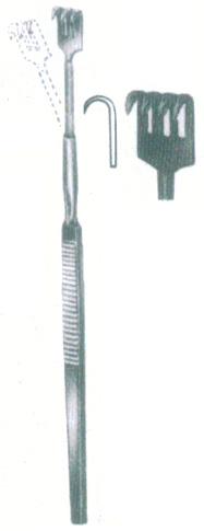 HSC-09-081