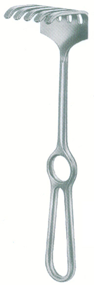 HSC-09-135