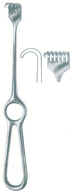 HSC-09-173