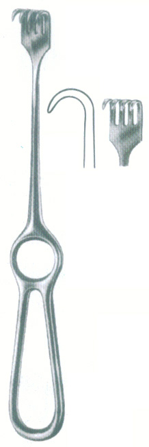 HSC-09-181