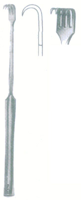 HSC-09-369