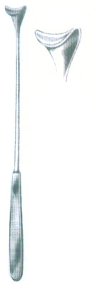 HSC-09-521