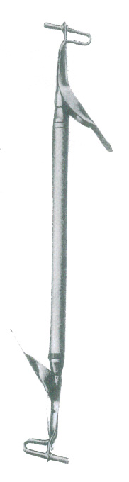 Amalgam Carrier