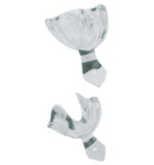 HSC-1113