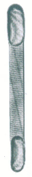 HSC-13-091