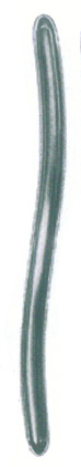 HSC-14-215