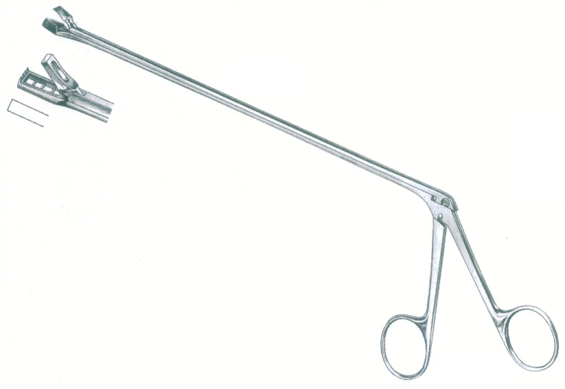HSC-14-493