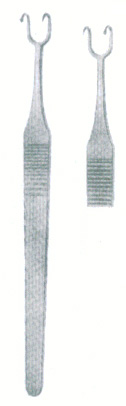 HSC-19-281