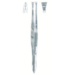 HSC-19-313