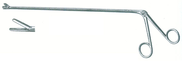 HSc-21-083